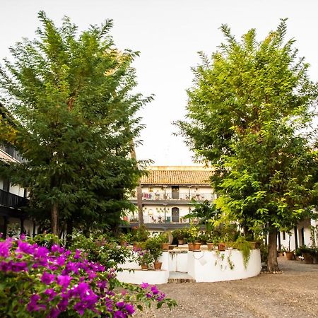 סביליה New Apartment In Traditional Building Of The XVI Century מראה חיצוני תמונה